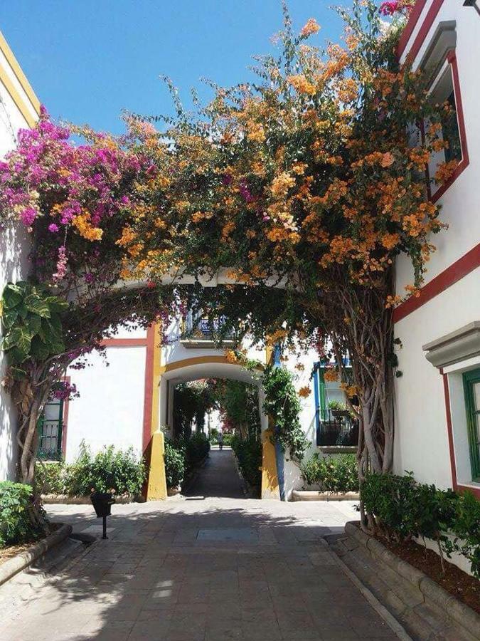 Estrella Del Mar Amazing Loft Casa Cosy Apartment ลาปลายา เด อาร์กีเนกิน ภายนอก รูปภาพ