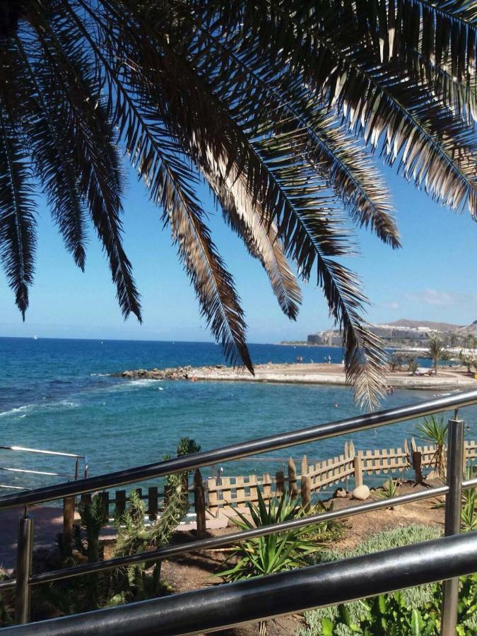 Estrella Del Mar Amazing Loft Casa Cosy Apartment ลาปลายา เด อาร์กีเนกิน ภายนอก รูปภาพ
